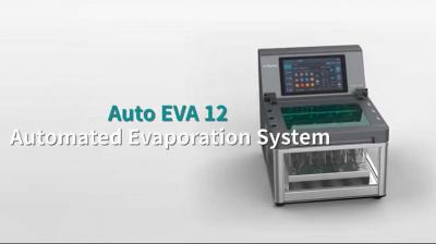 RayKol Auto EVA 12 Automated Nitrogen Evaporation System